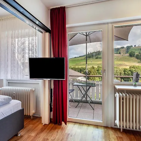 Διαμέρισμα K1 Blick Willingen (Upland)